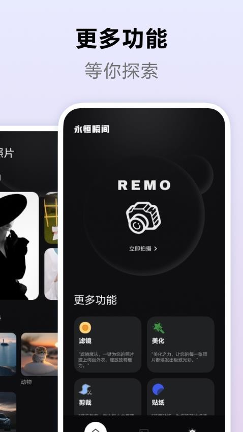 Remo免费版图3