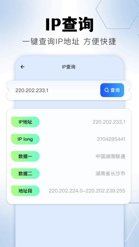 金砖弱网助手官网版图3