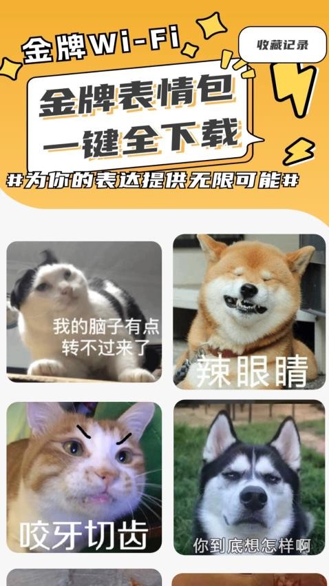 金牌WiFi最新版图2