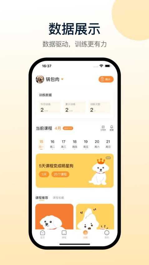 小白训练师最新版图4