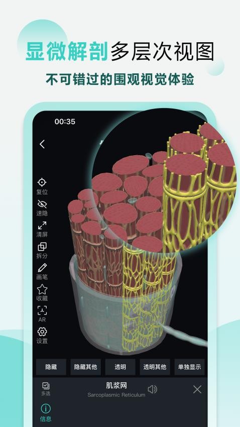 掌上3D解剖免费版图3