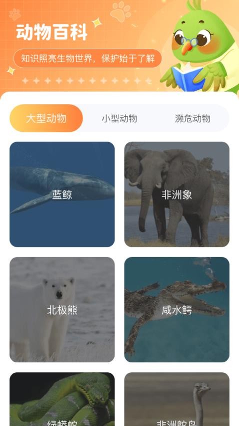 动物天地最新版图2