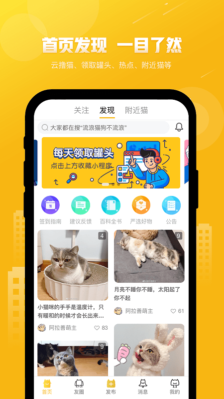 友猫图1